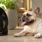 Razas de perro que peor soportan el calor: bulldog francés jadeando