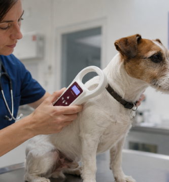 Microchip obligatorio 2028: identificación electrónica de mascotas en la UE