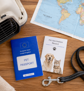 Requisitos para viajar con mascota: documentación y accesorios de viaje