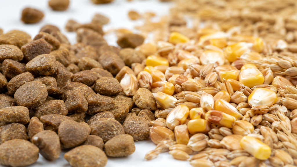 Pienso de supermercado con alto contenido de cereales de relleno