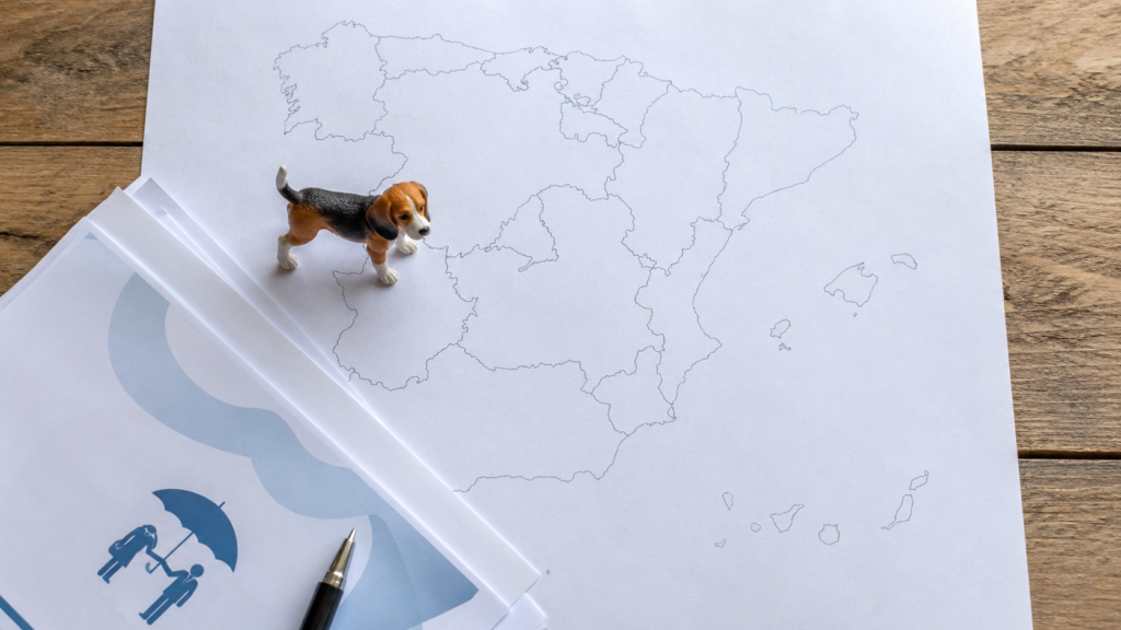 Seguro obligatorio para perros por comunidad autónoma en España