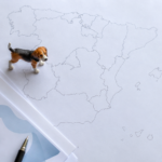 Seguro obligatorio para perros por comunidad autónoma en España