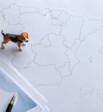 Seguro obligatorio para perros por comunidad autónoma en España