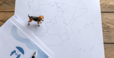 Seguro obligatorio para perros por comunidad autónoma en España