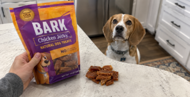 Snacks para perros: no todos los que parecen sanos lo son