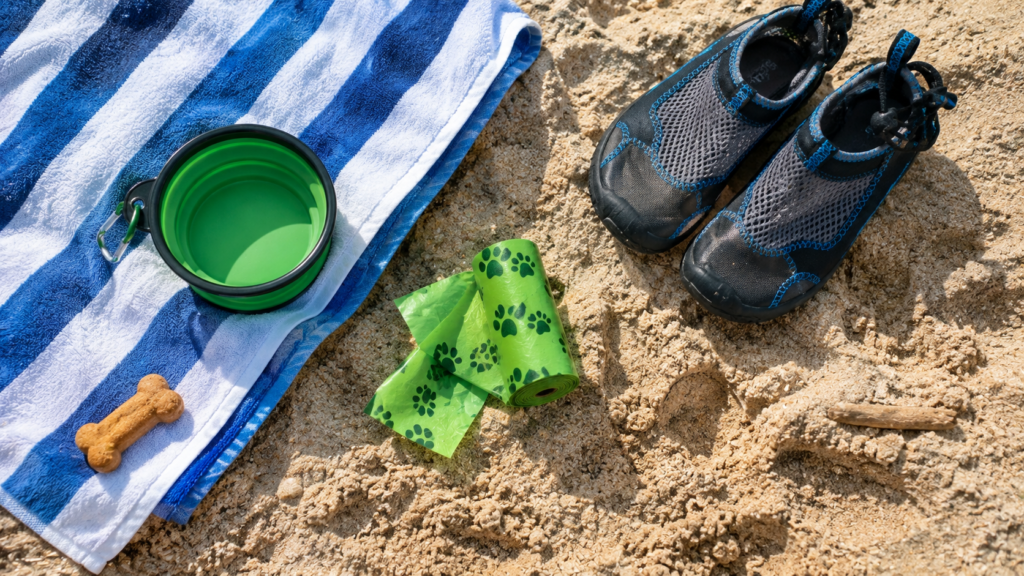Kit imprescindible para llevar a tu perro a la playa